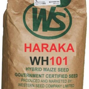 WS Haraka 101